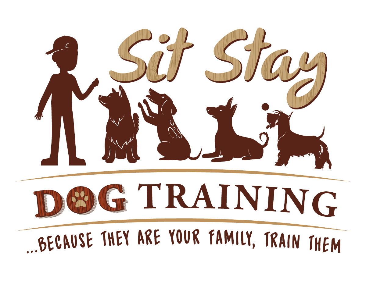 Sit Stay Dog Training